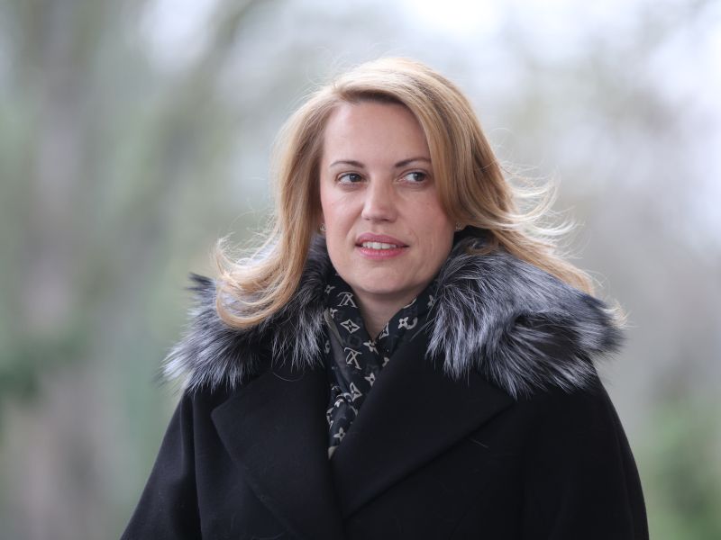 Slika članka