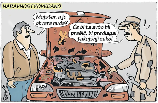 Slika članka