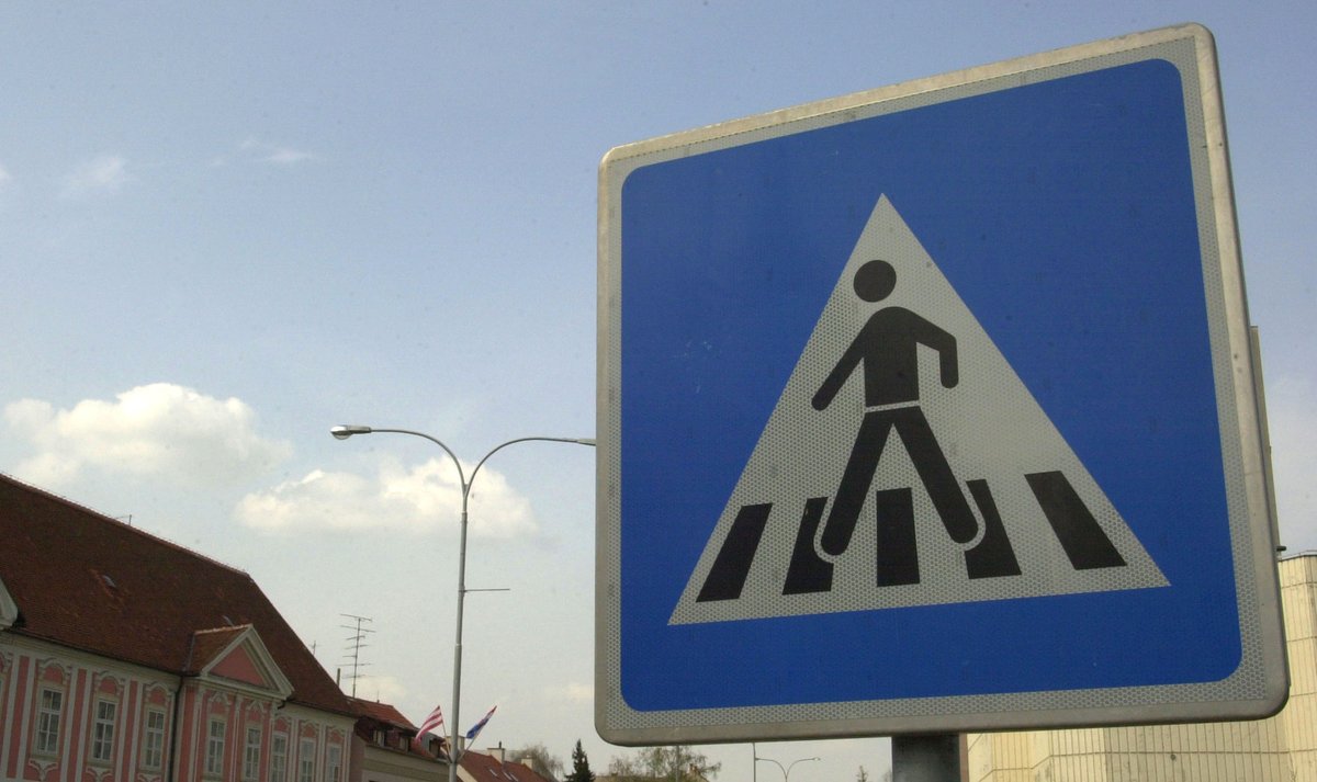 Slika članka