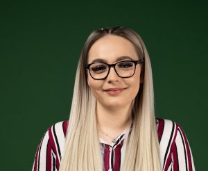 Slika članka