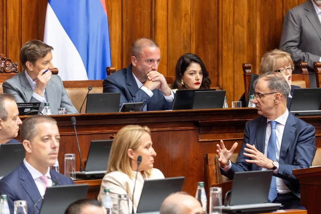 Slika članka