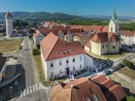 Slika članka