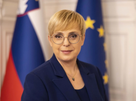 Slika članka