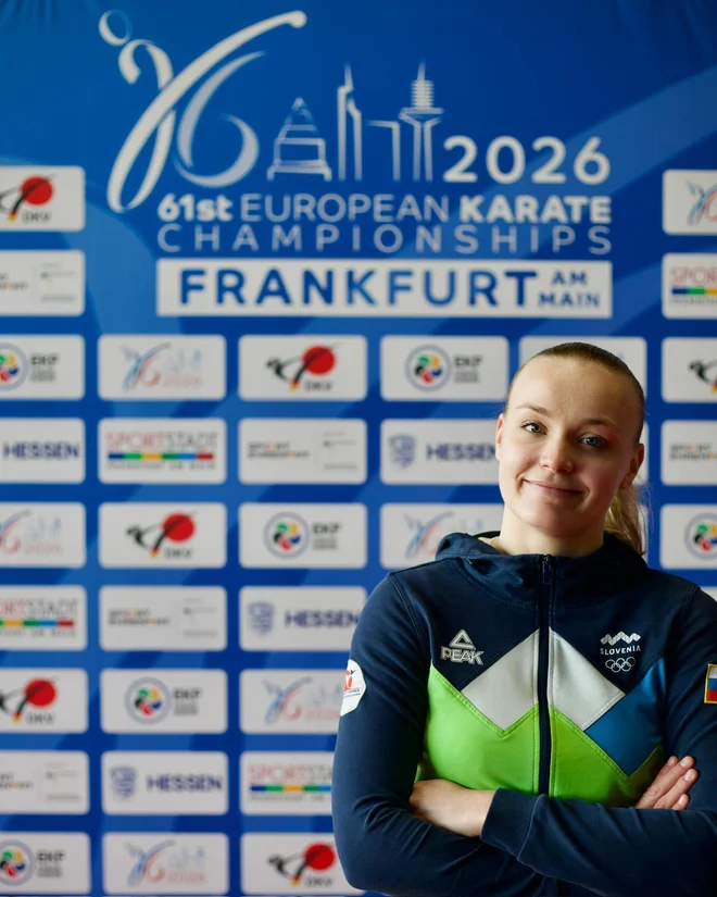 Slika članka