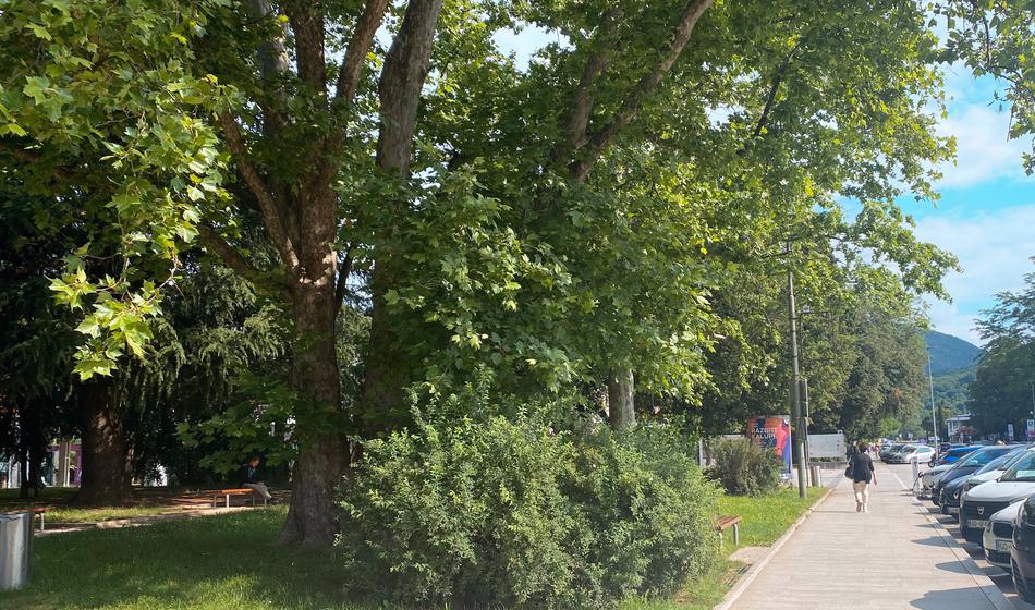 Slika članka