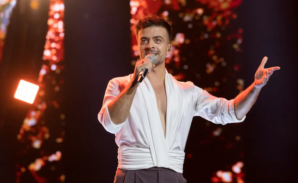 Slika članka