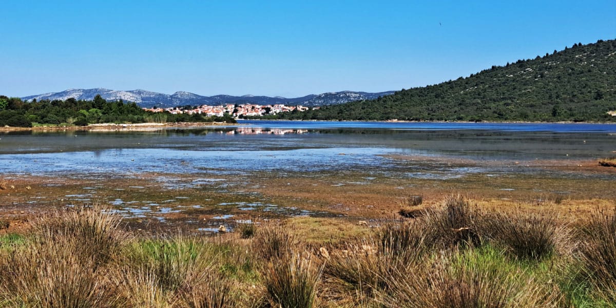 Slika članka