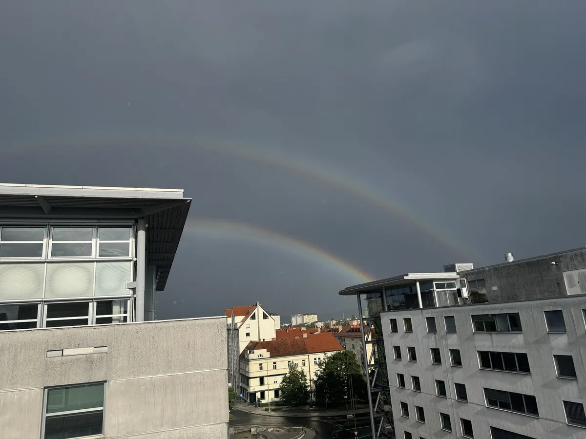 Slika članka