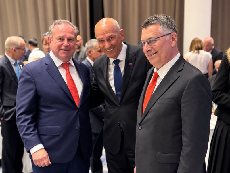 Slika članka