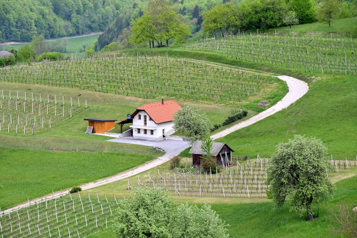 Slika članka