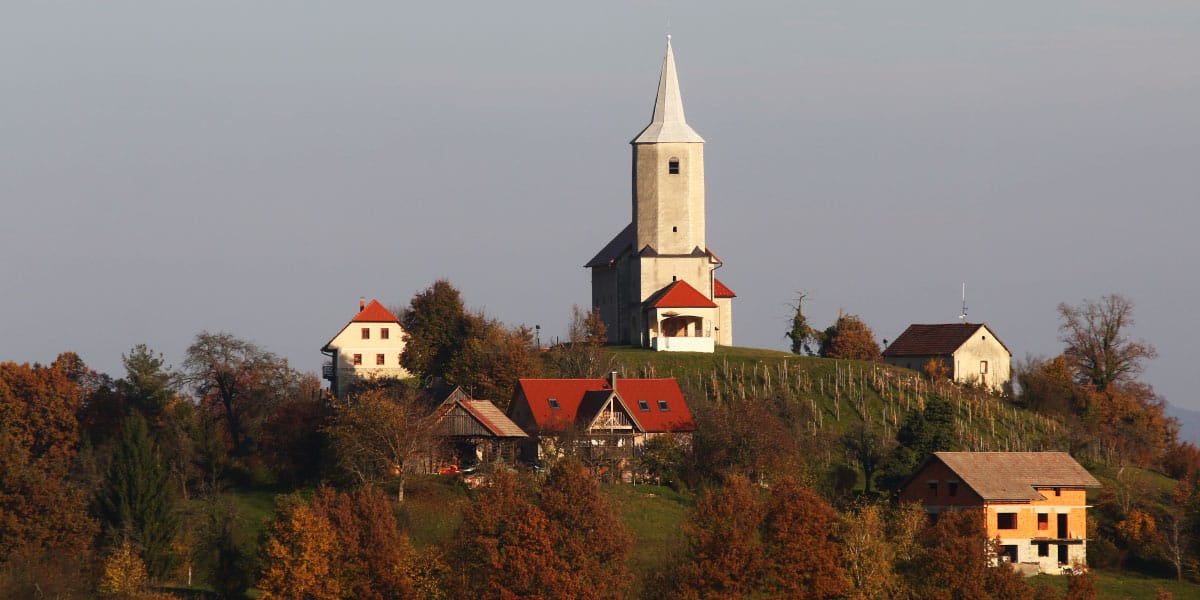 Slika članka