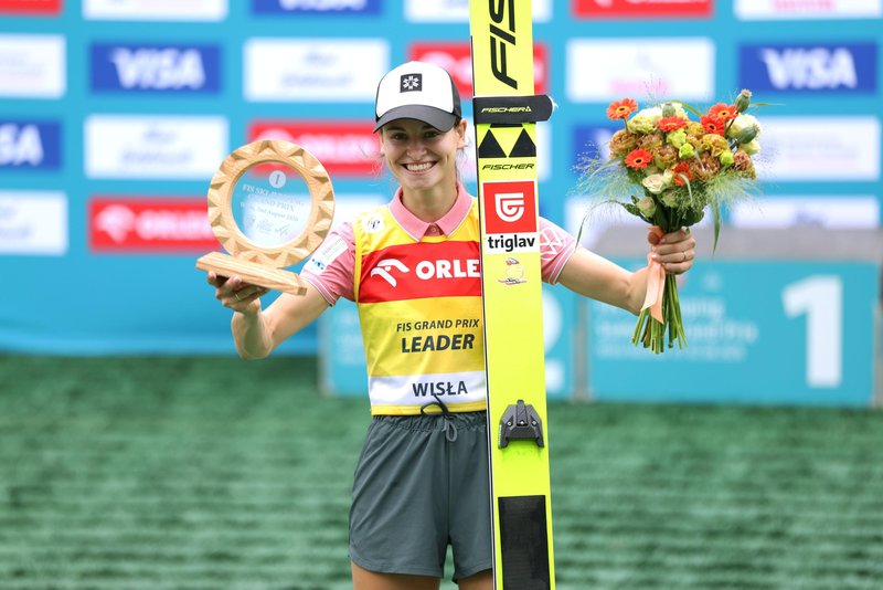 Slika članka
