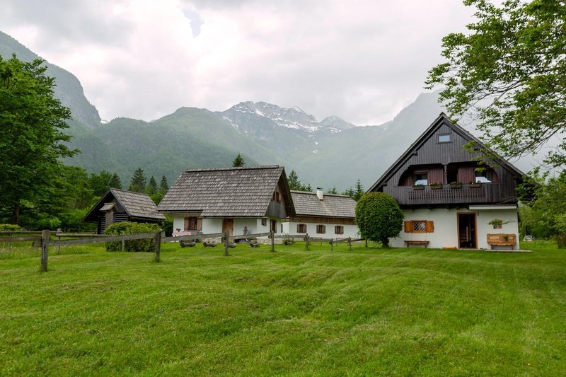 Slika članka