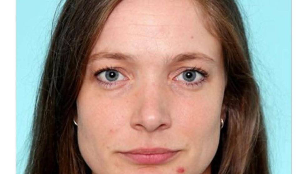 Slika članka