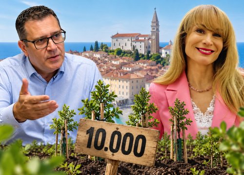 Slika članka