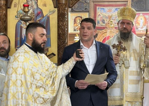 Slika članka