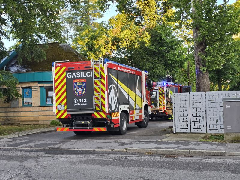 Slika članka