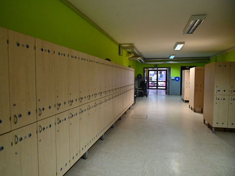 Slika članka