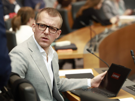 Slika članka