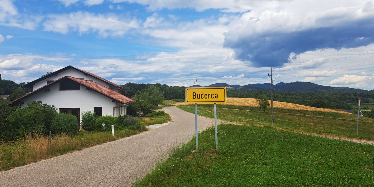 Slika članka
