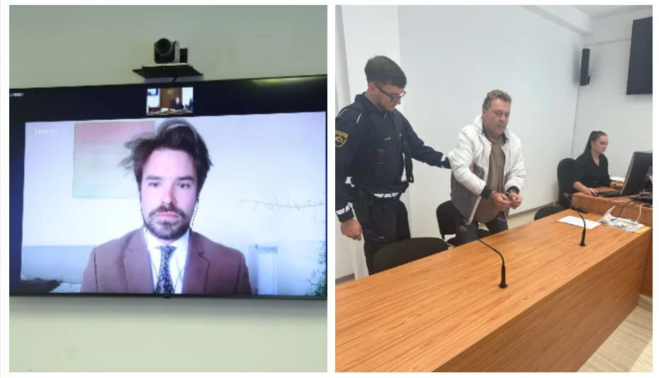 Slika članka