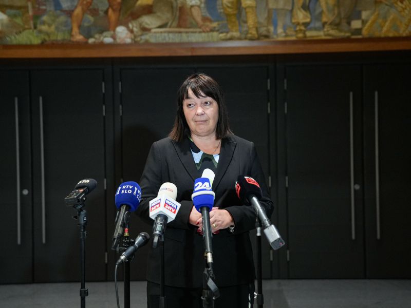 Slika članka