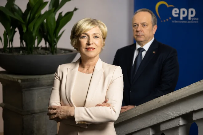 Slika članka