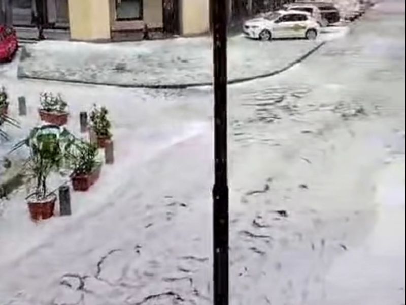 Slika članka