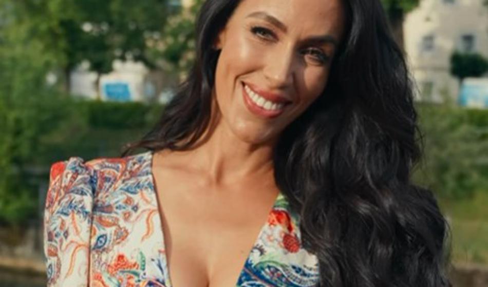 Slika članka