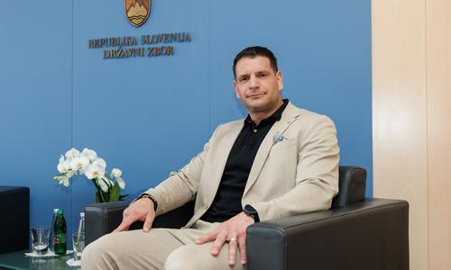 Slika članka