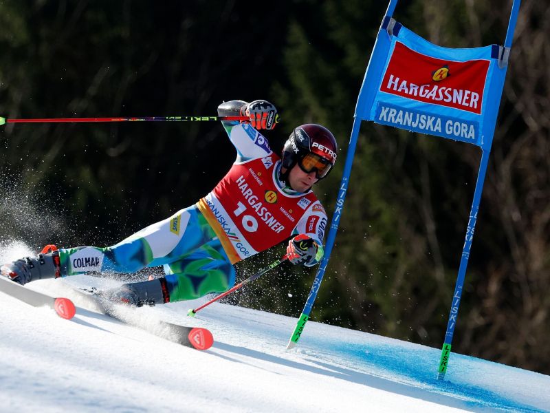 Slika članka