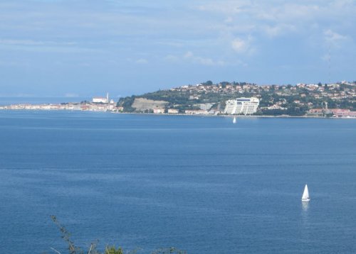 Slika članka