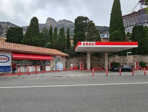 Slika članka