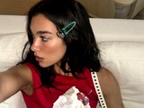 Slika članka