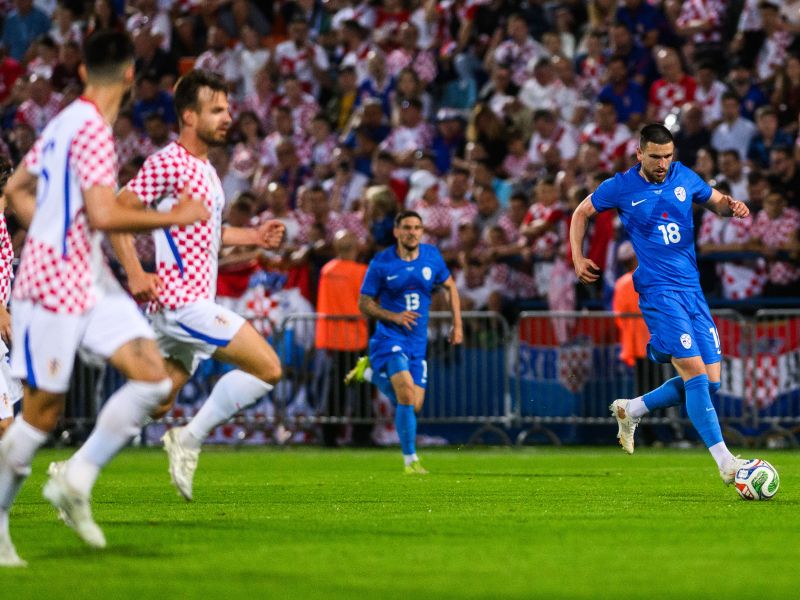 Slika članka