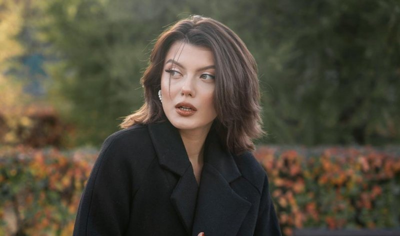 Slika članka