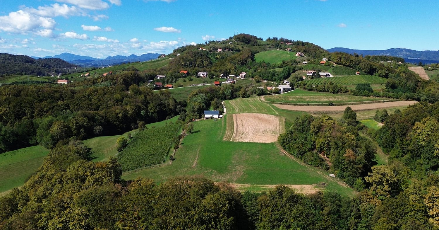 Slika članka