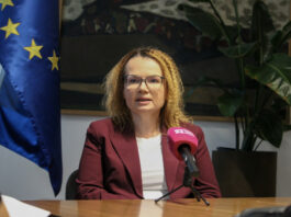 Slika članka