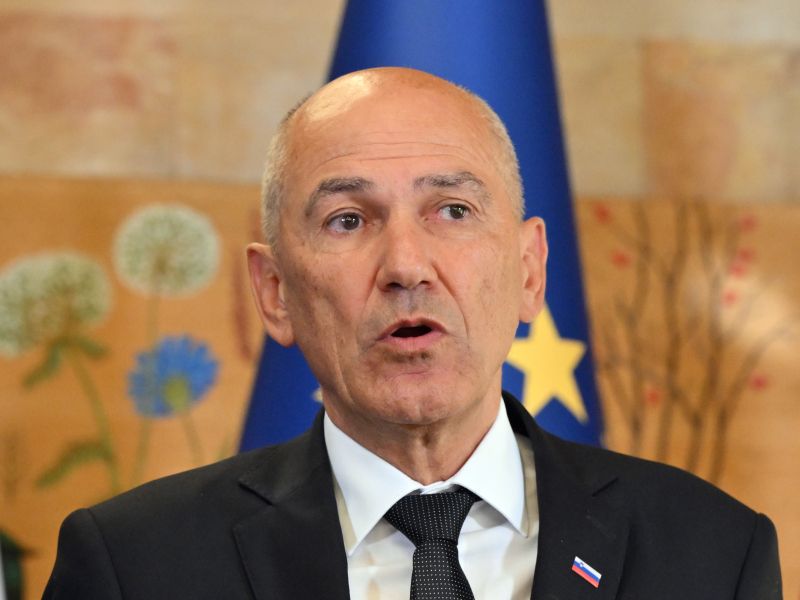 Slika članka