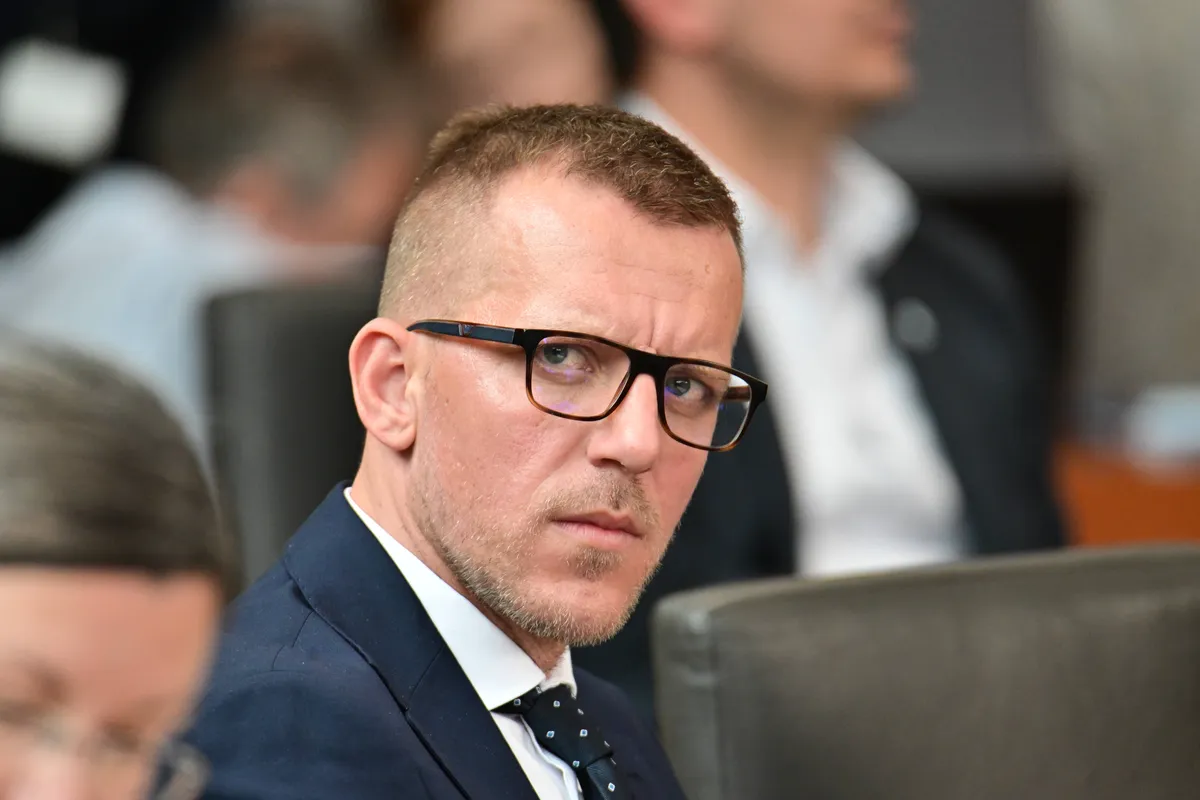 Slika članka