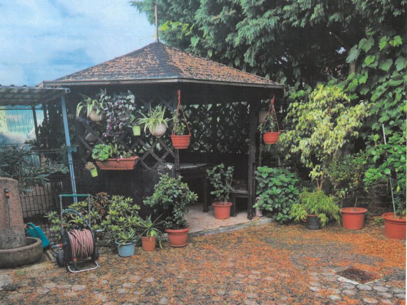 Slika članka