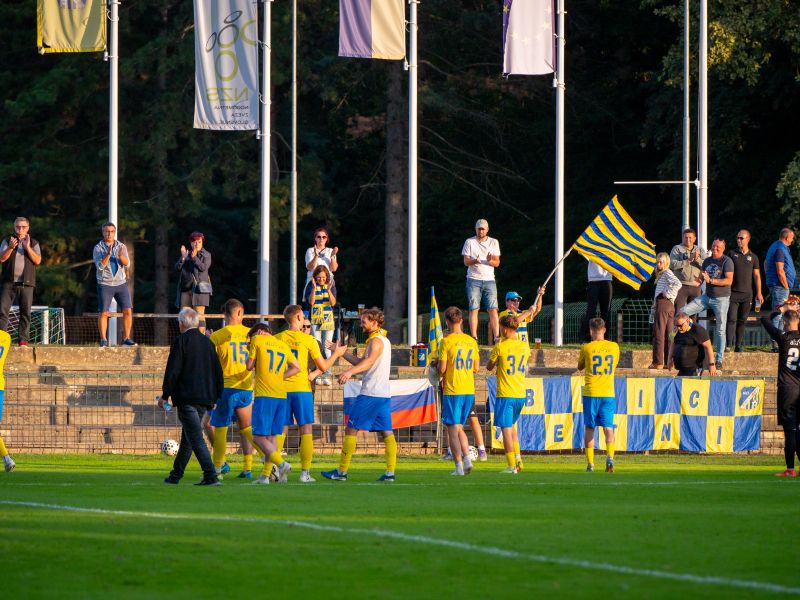 Slika članka