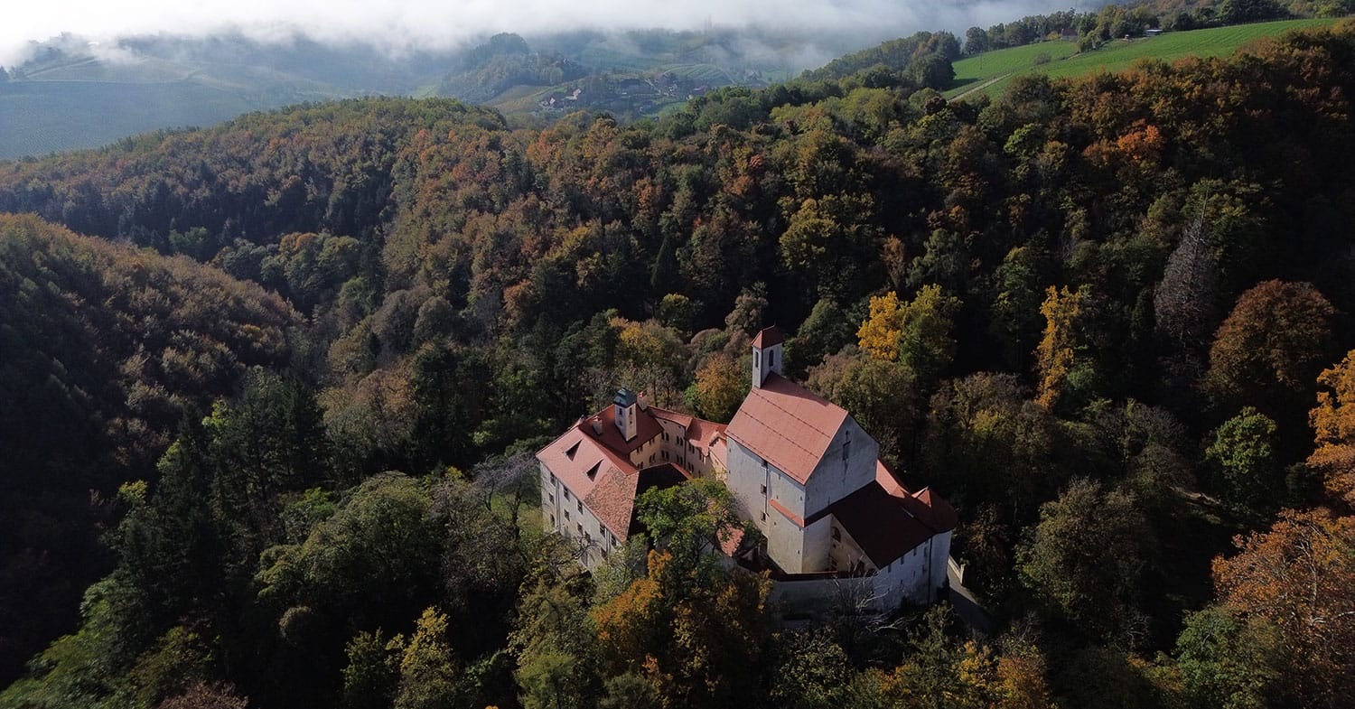 Slika članka