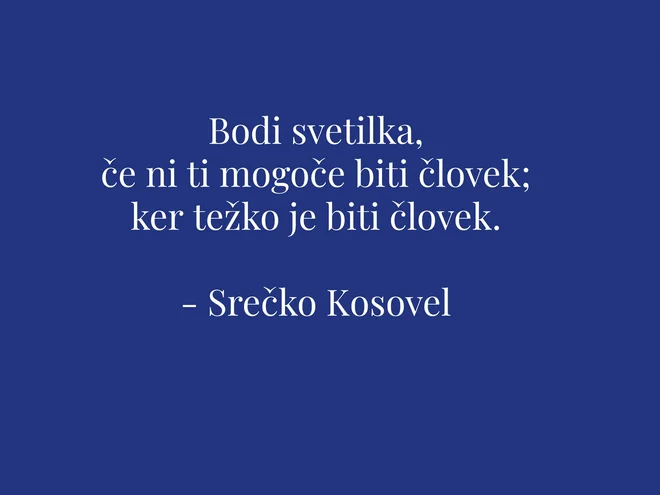 Slika članka