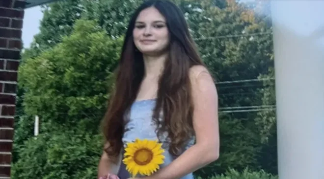 Slika članka