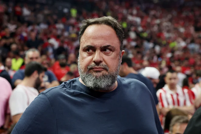 Slika članka