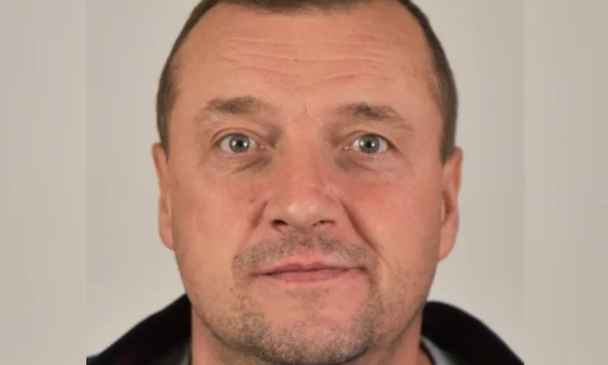 Slika članka