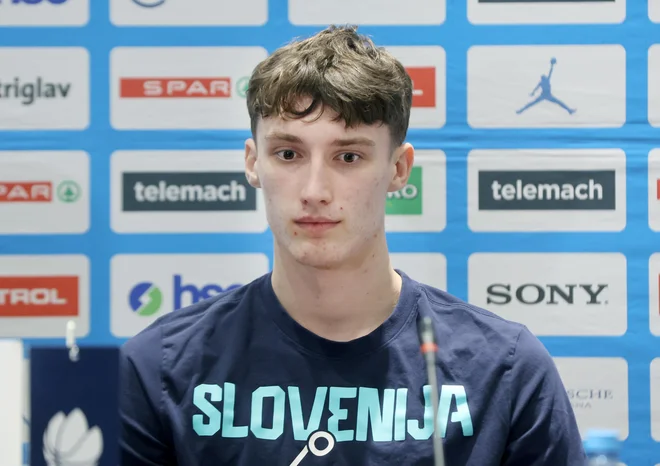 Slika članka