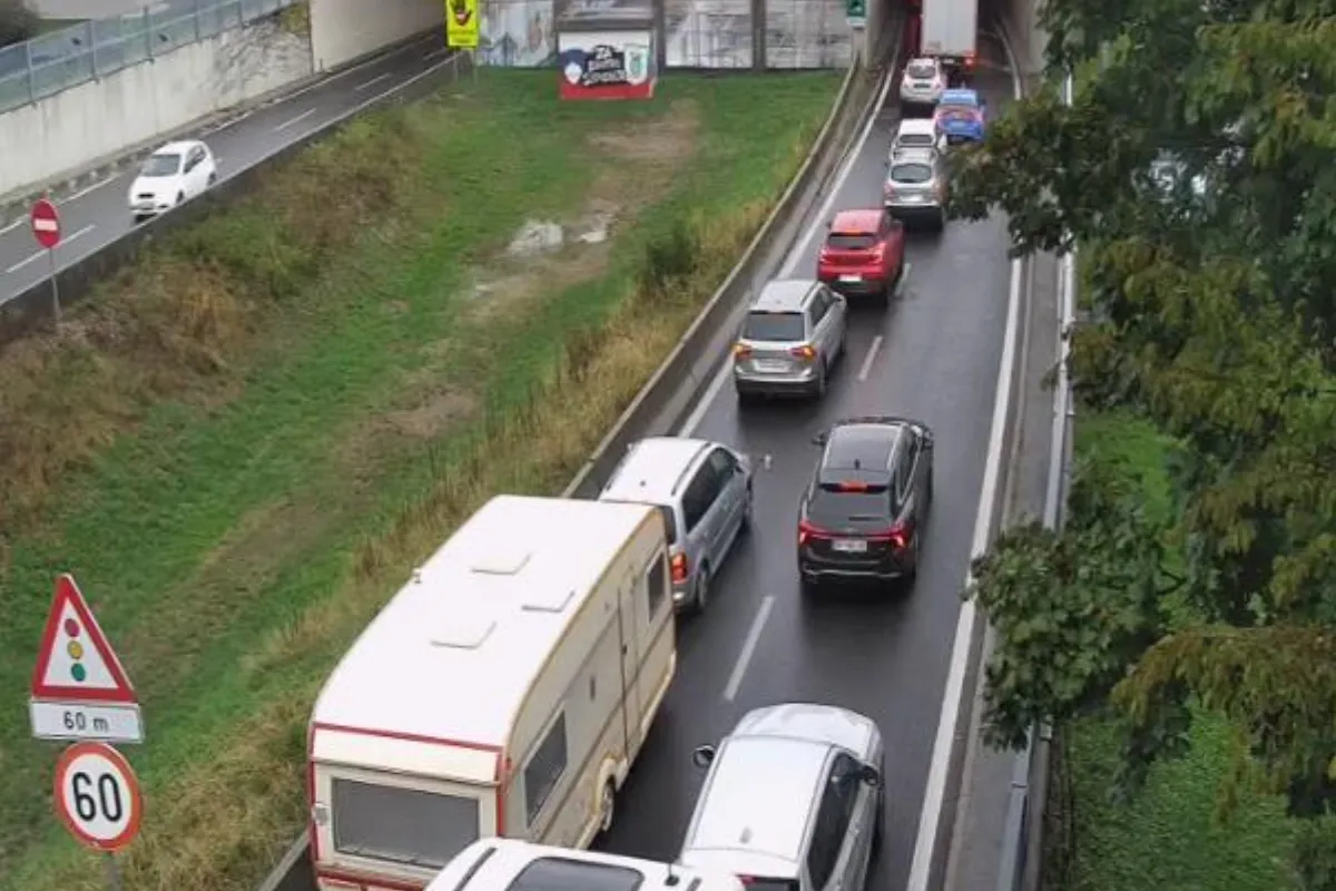 Slika članka