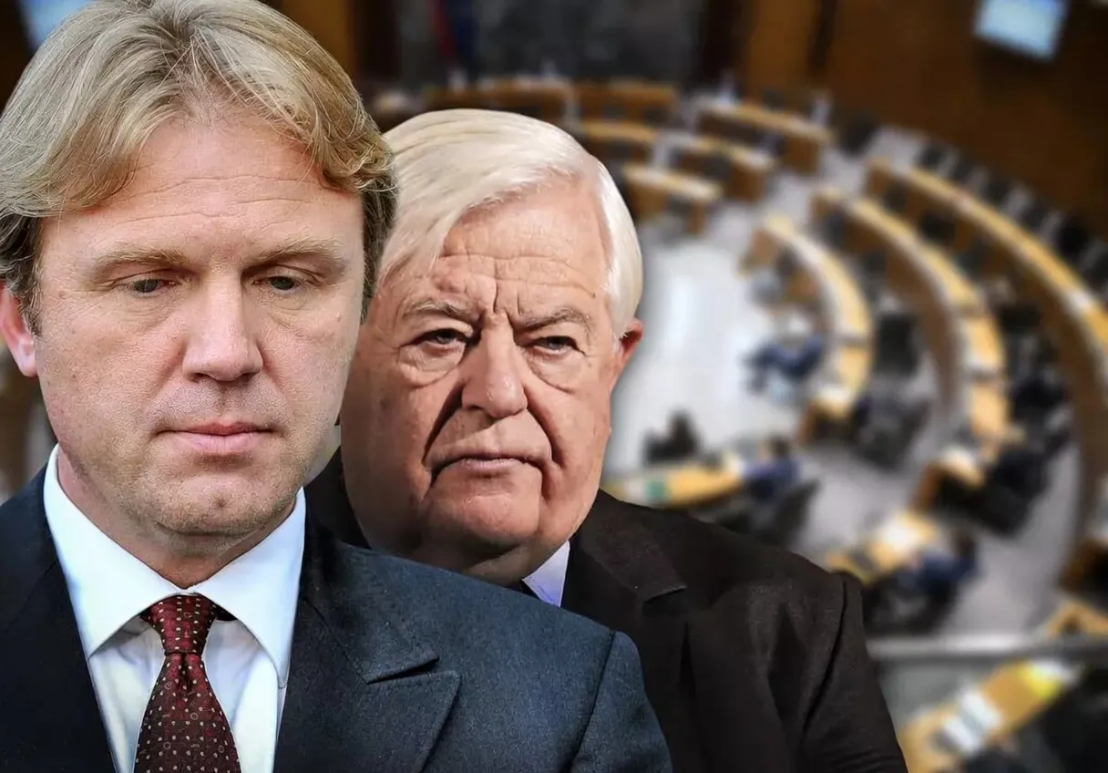 Slika članka